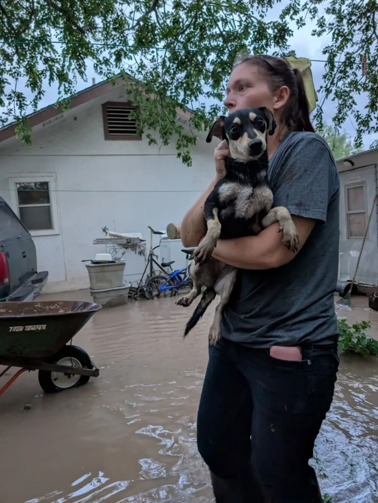 texas flood pet rescue